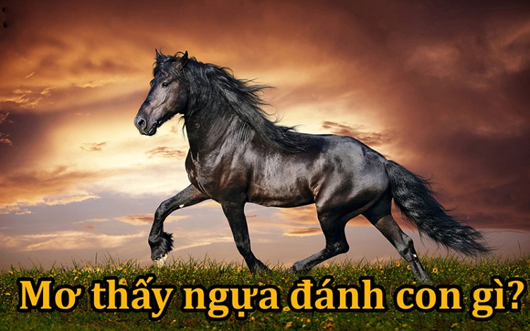 mo-thay-ngua-danh-con-so-nao